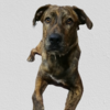 Small 20200816173310 2c3d84c5