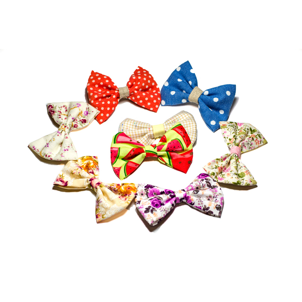 Hair Bow Clips