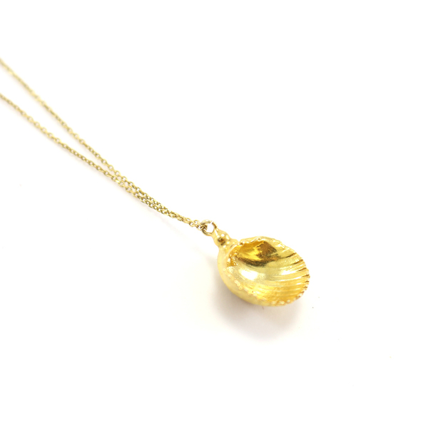 Silver Shell Necklace