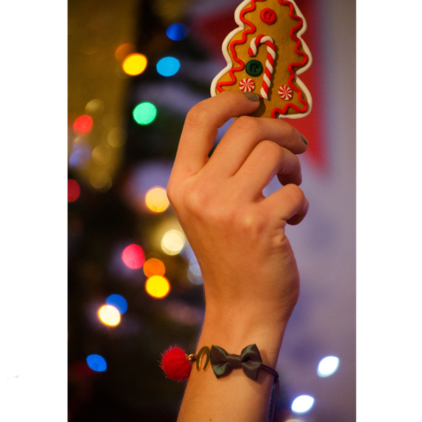 Horseshoe Lucky Charm