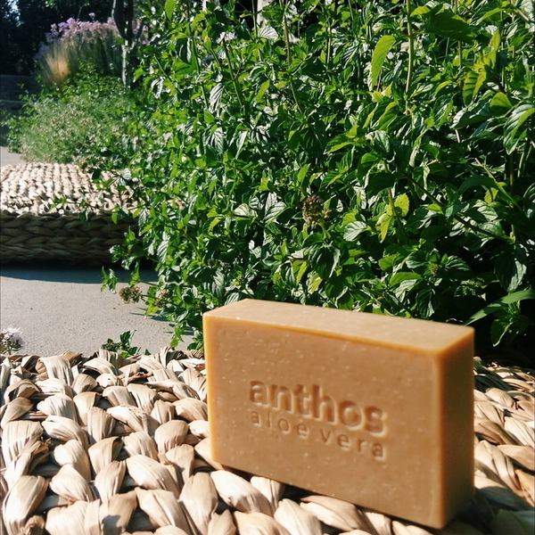 Anthos Aloe Vera Handmade Scrub