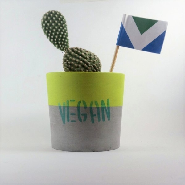 Γλαστράκι - κασπώ //VEGAN