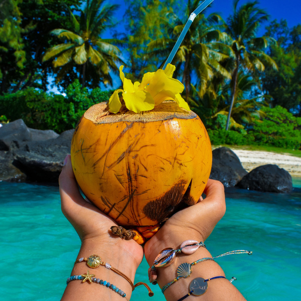 Seashell Bracelet