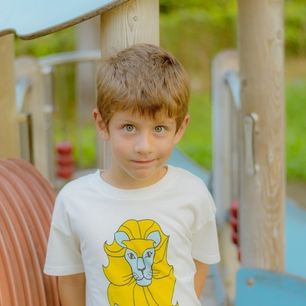 Kίτρινο Λιοντάρι T-Shirt