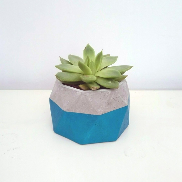 Γλαστράκι //yugen blue n' natural