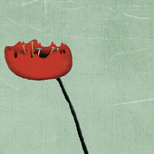 Full 20161121162155 poppyslittlestore