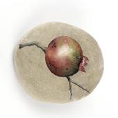 Full 20171215142151 valentina