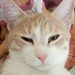 Thumb 20210802115800 sisandtinie